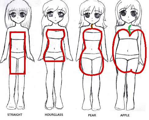 Body Types by My-Melody