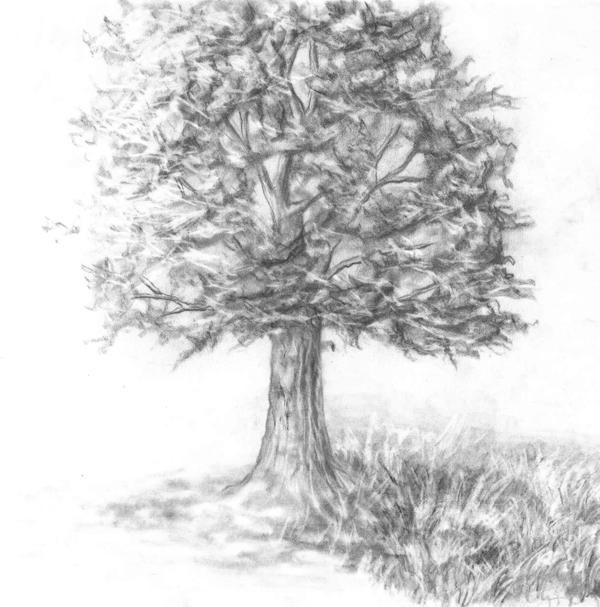 The Tree by madamlaracroft