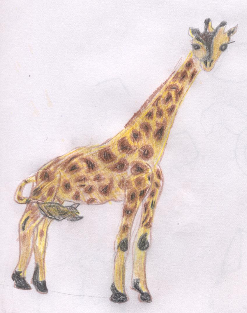 girafffe by malfoyisdead