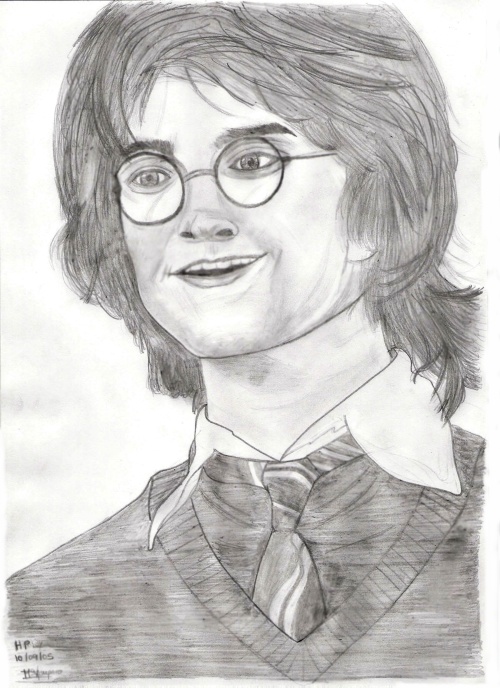 Harry Potter (scene GOF) by mariars