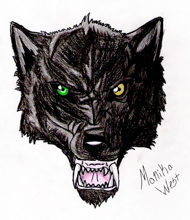 Nemisis, the Black Wolf by marikinuyasha