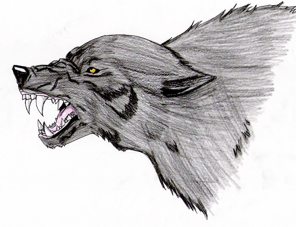 Nemisis is one angry wolf by marikinuyasha