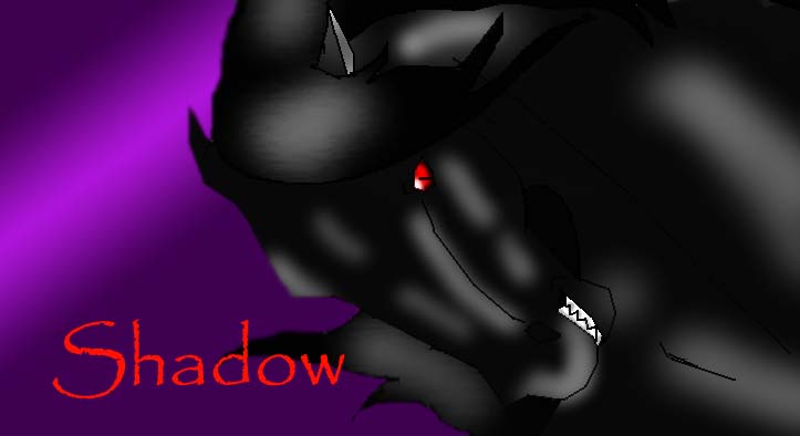 Shadow's new look by marikinuyasha