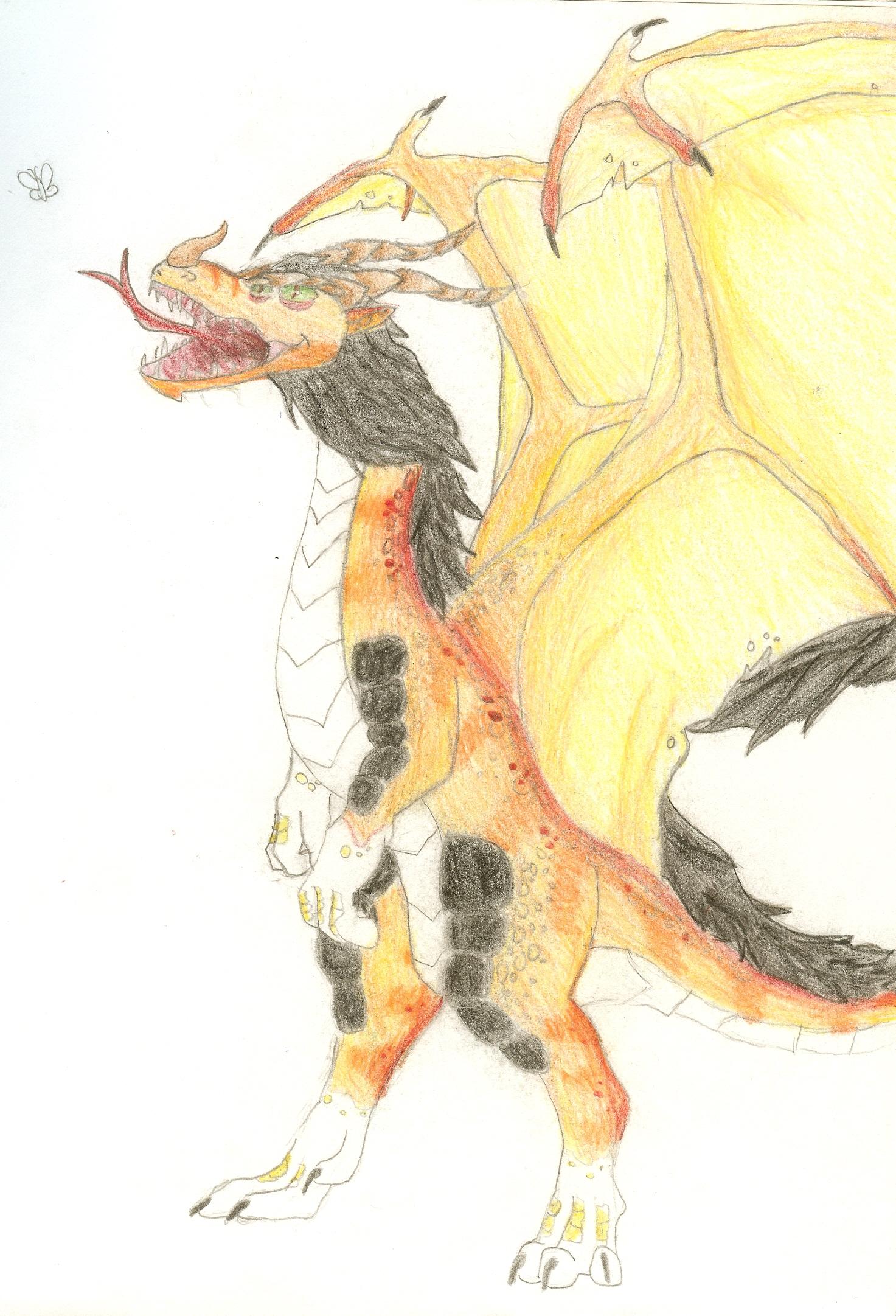 dragon by masher43