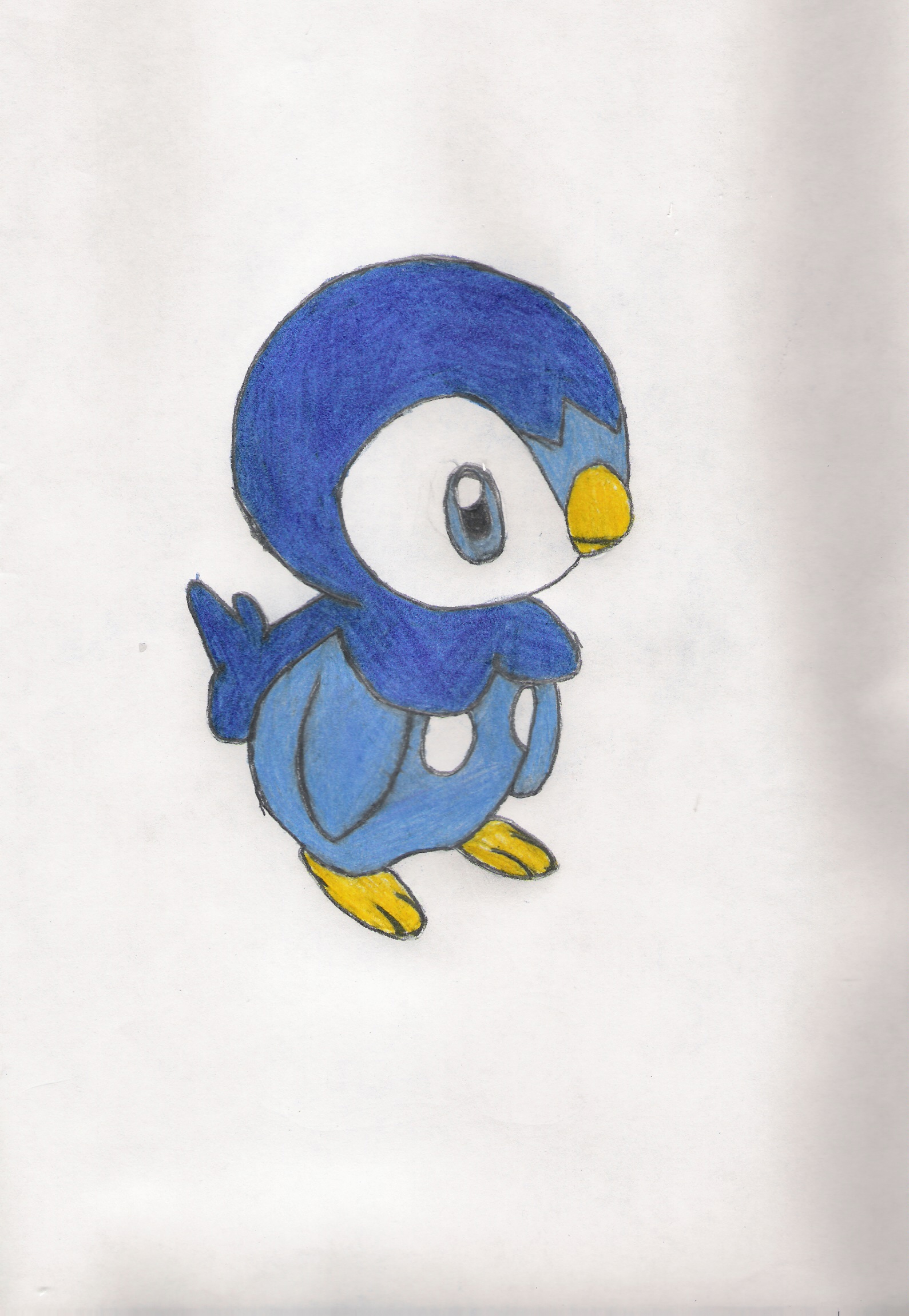 Piplup by matsuro