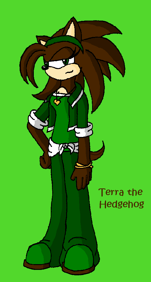 Terra the Hedgehog by mechadragon13