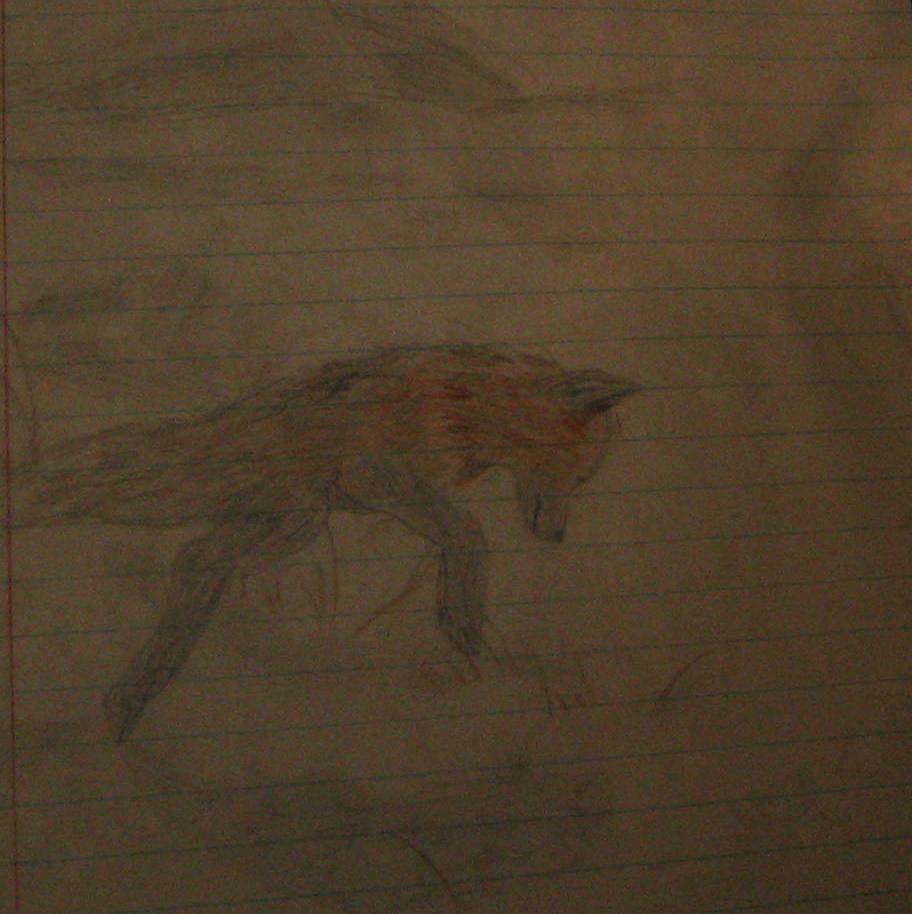 fox by medowhorseslesedi