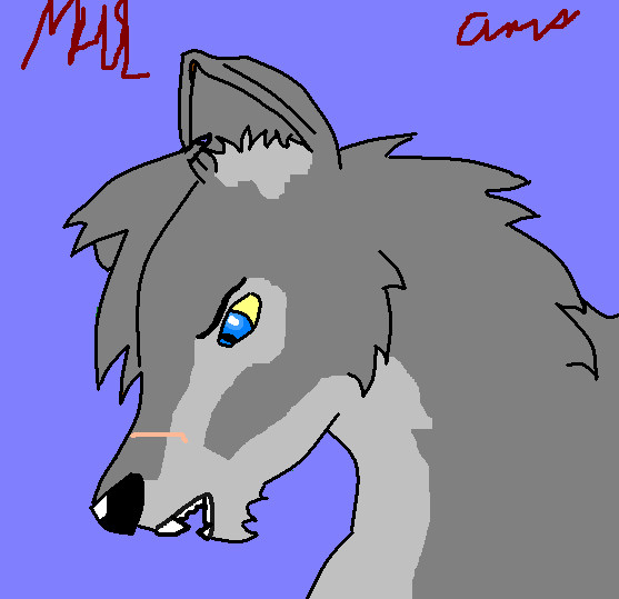 Wolf by medowhorseslesedi