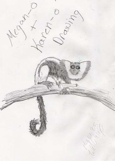 A Monkey by megan_williams52