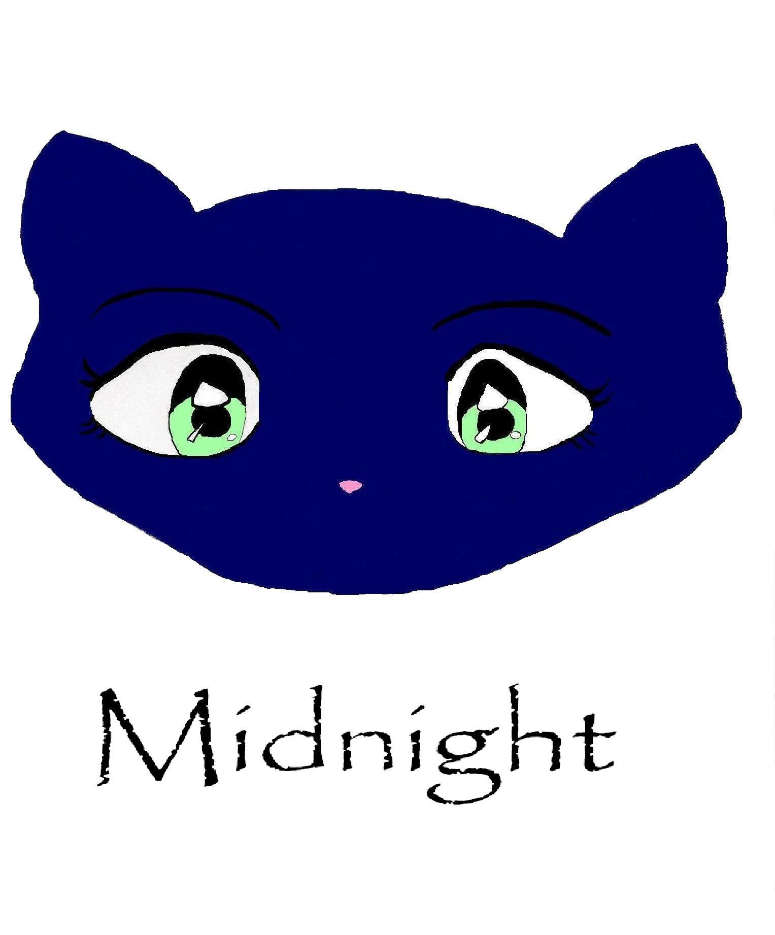 !!! Midnight my new cat !!! by meowsers