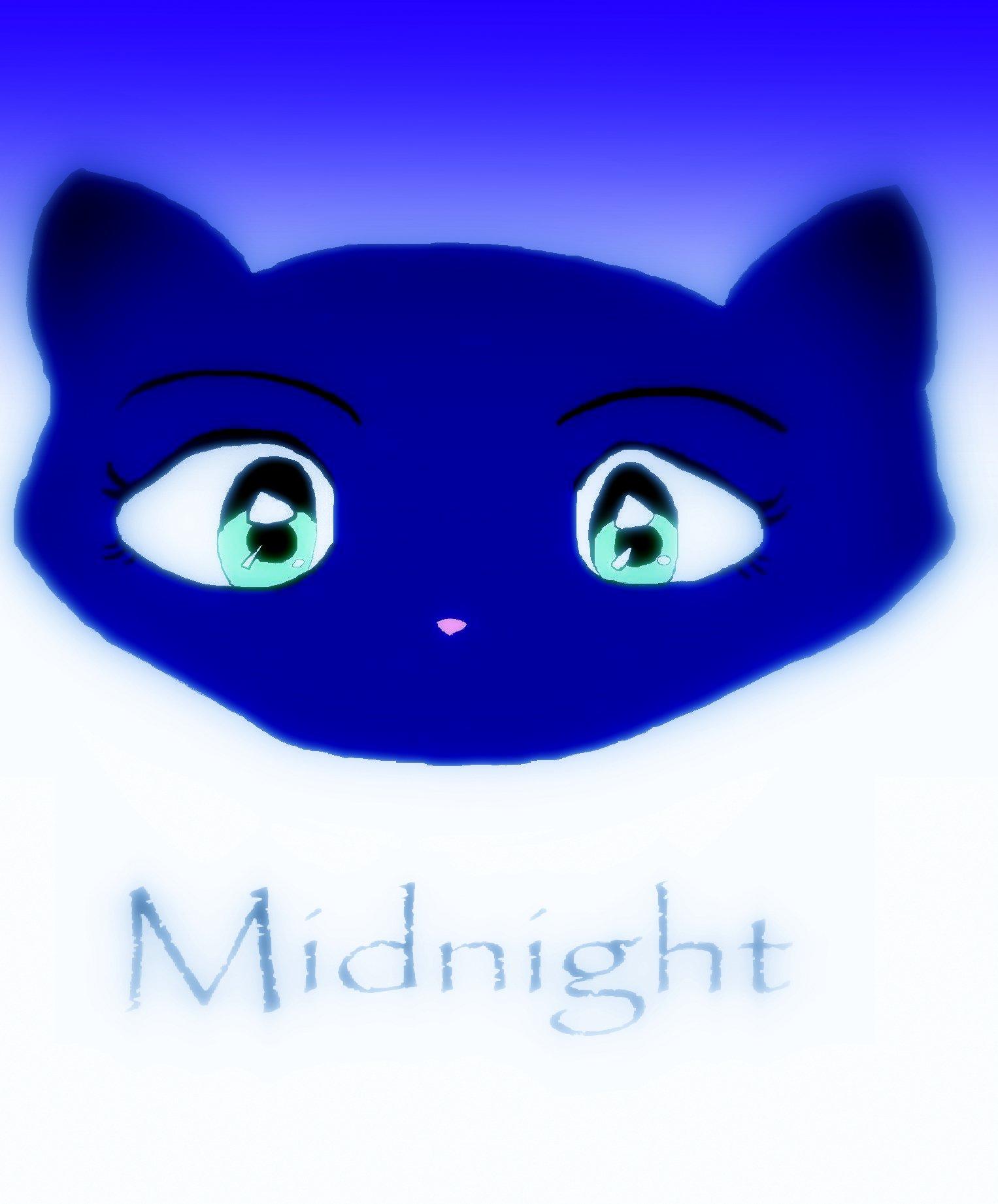 !!! Midnight Even Better !!! by meowsers