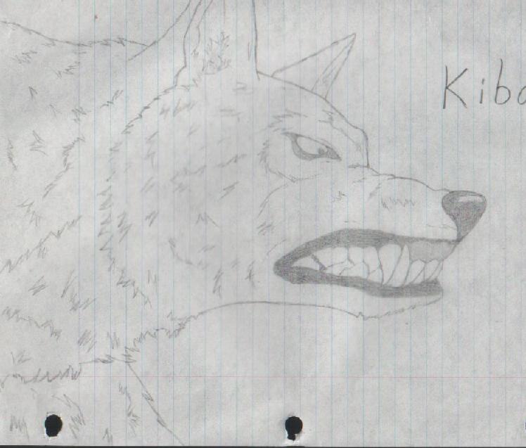 Kiba/wolf form by mikita_inugirl