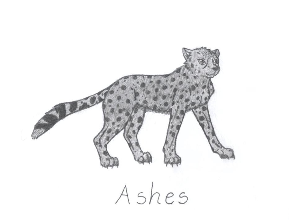 Ashes the Cheetah by mikita_inugirl