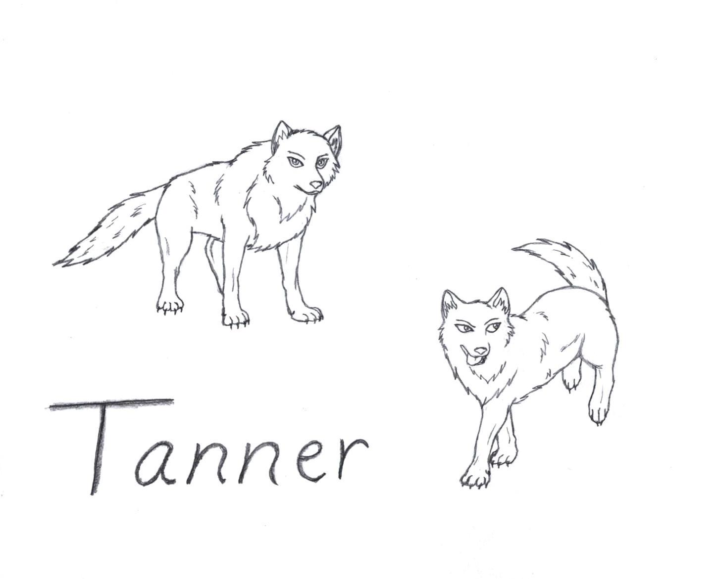 Tanner - sketches by mikita_inugirl