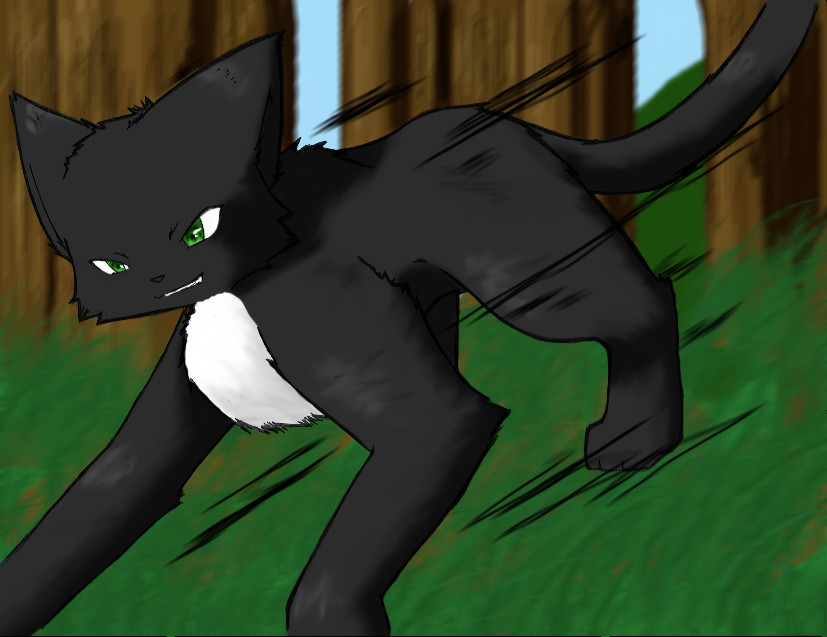 Shadowtail (Request for Jackismyman) by miknart