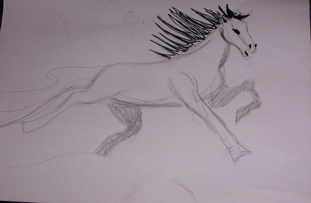 sketchy sort of possessed horse by minieero