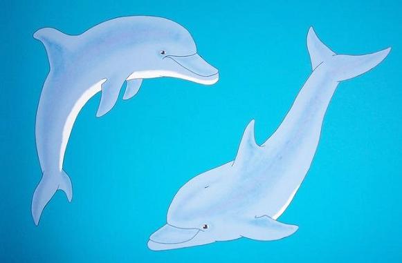 Dolphins by minigirl