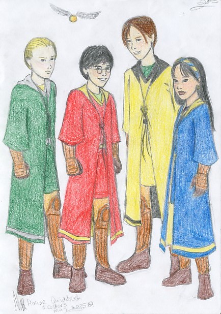 house Quidditch Seekers by miriamartist