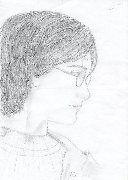 Harry Potter profile by miriamartist