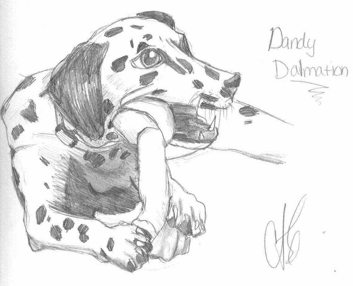 A dandy Dalmation by missFangirl3432whee