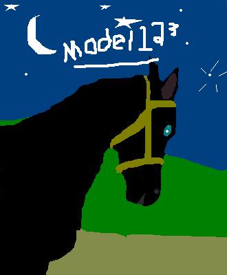 black  horse by model123