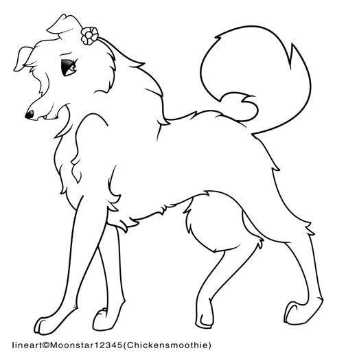 Female Border collie lineart by moonstar12345