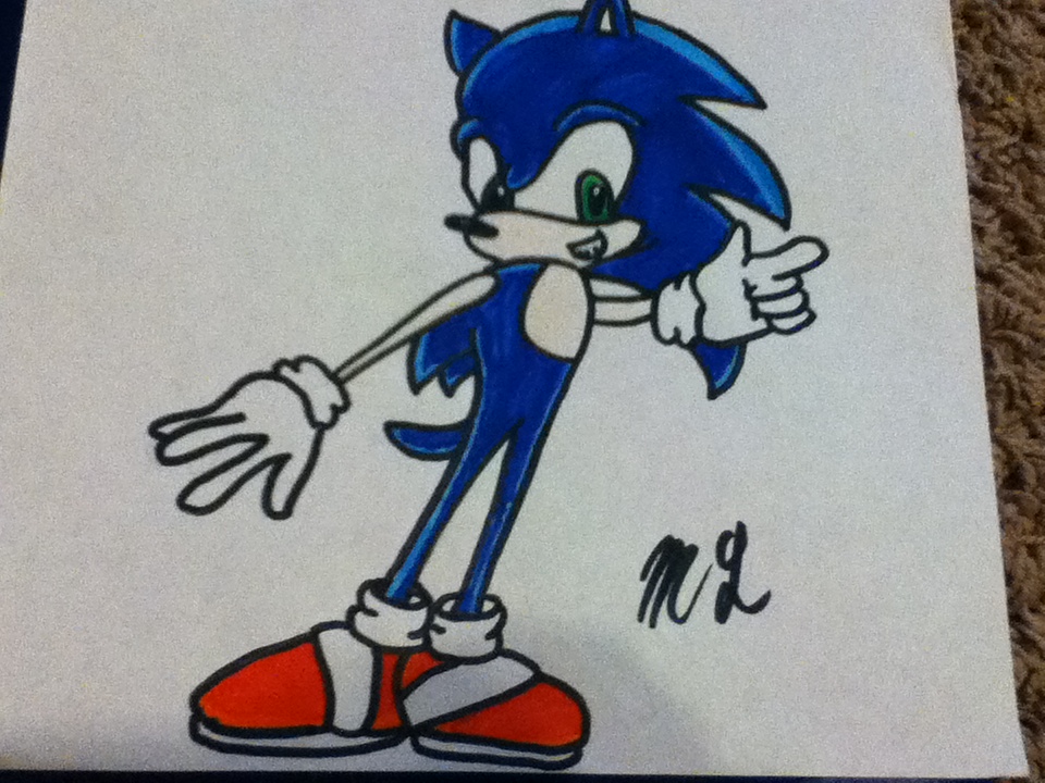 Sonic by morganland