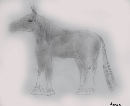 Draft Horse by mudlake126