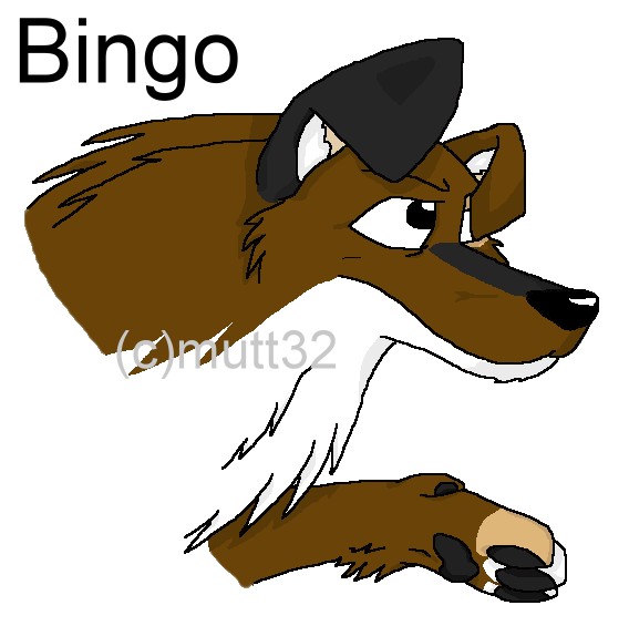 Bingo by mutt32
