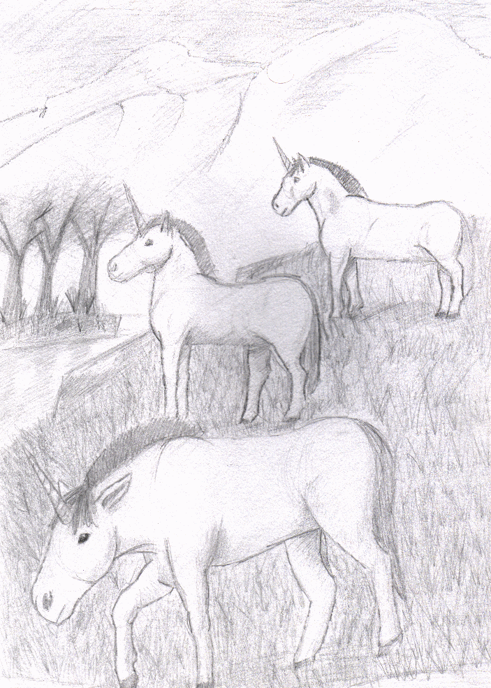 my unicorns by mzy