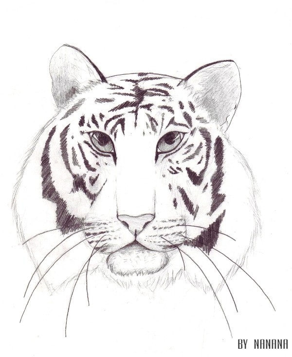 I love tigers... by NaNaNa