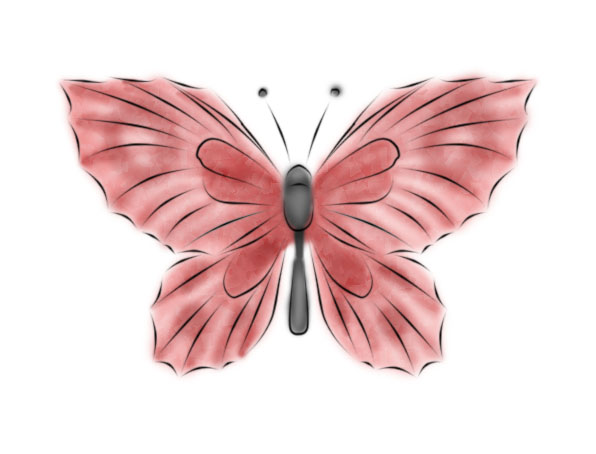 -A butterfly!- by NamelessAutumnChild
