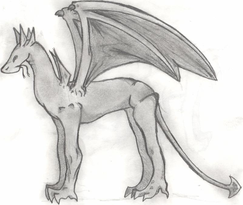 Horse-Dragon? by Narf