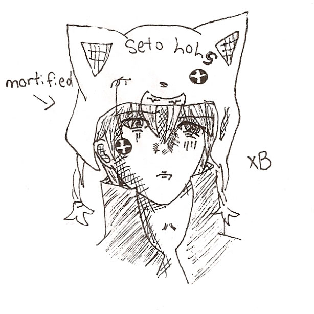 Seto's kitty hat by Narorater