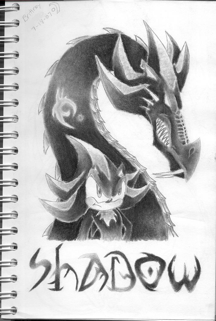 Shadow and his Dragon or Form by Nazo