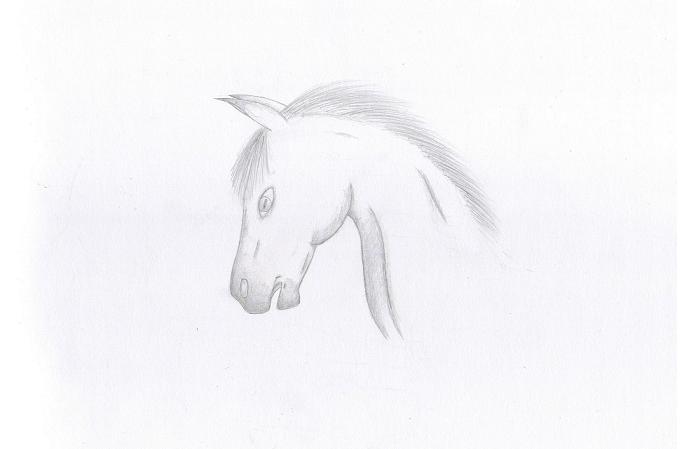 Enchanted *for horsespirit* by Neawolf