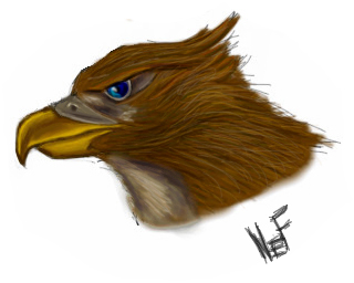 Hawk by Nefertiri