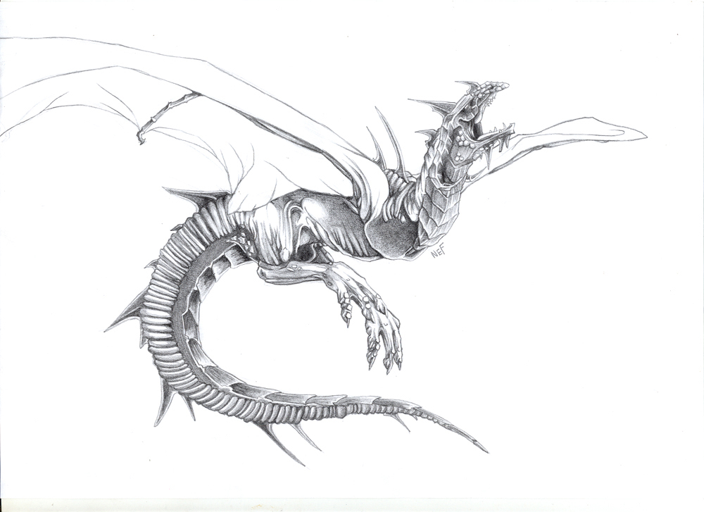 Dragon by Nefertiri