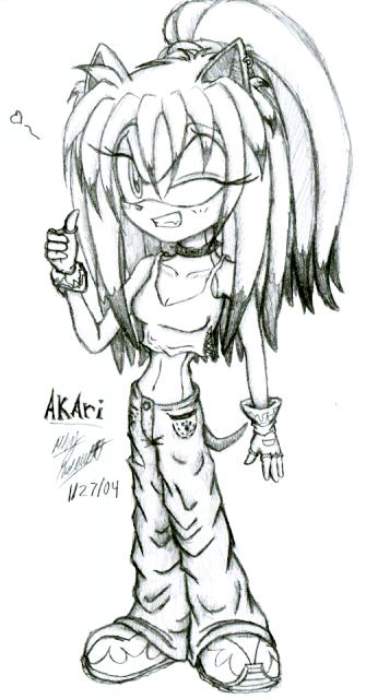 Akari The Hedgehog by Neko-Chan