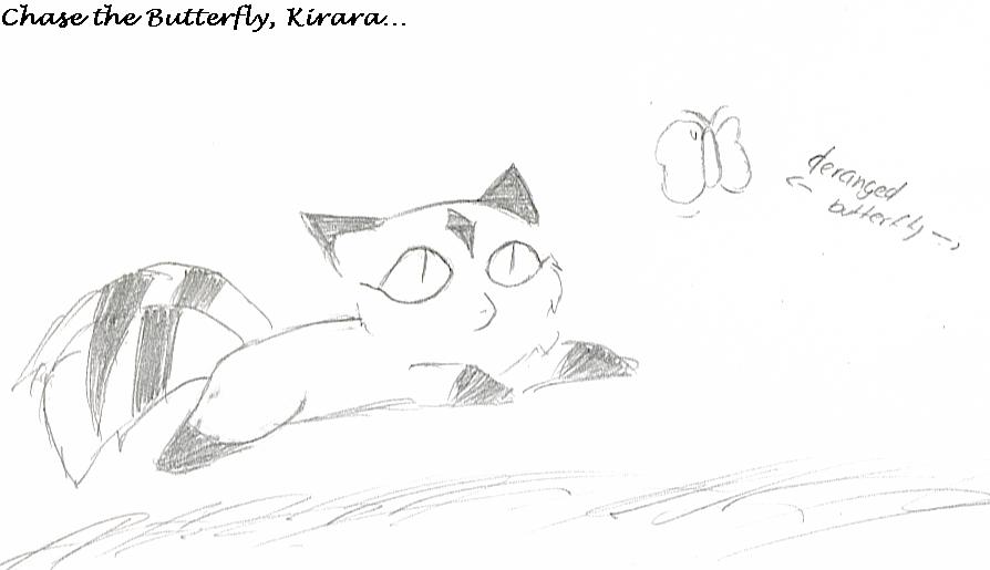 Chase the butterfly, Kirara by Nekochan424