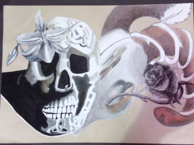 Skull Project by Nemmer