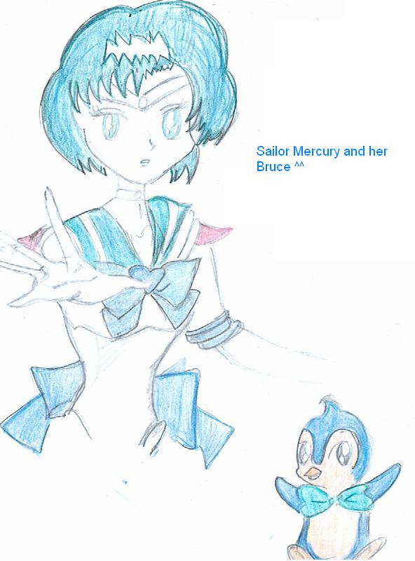 Sailor Mercury and Her Bruce(request for Animeiac) by Neopetgirl