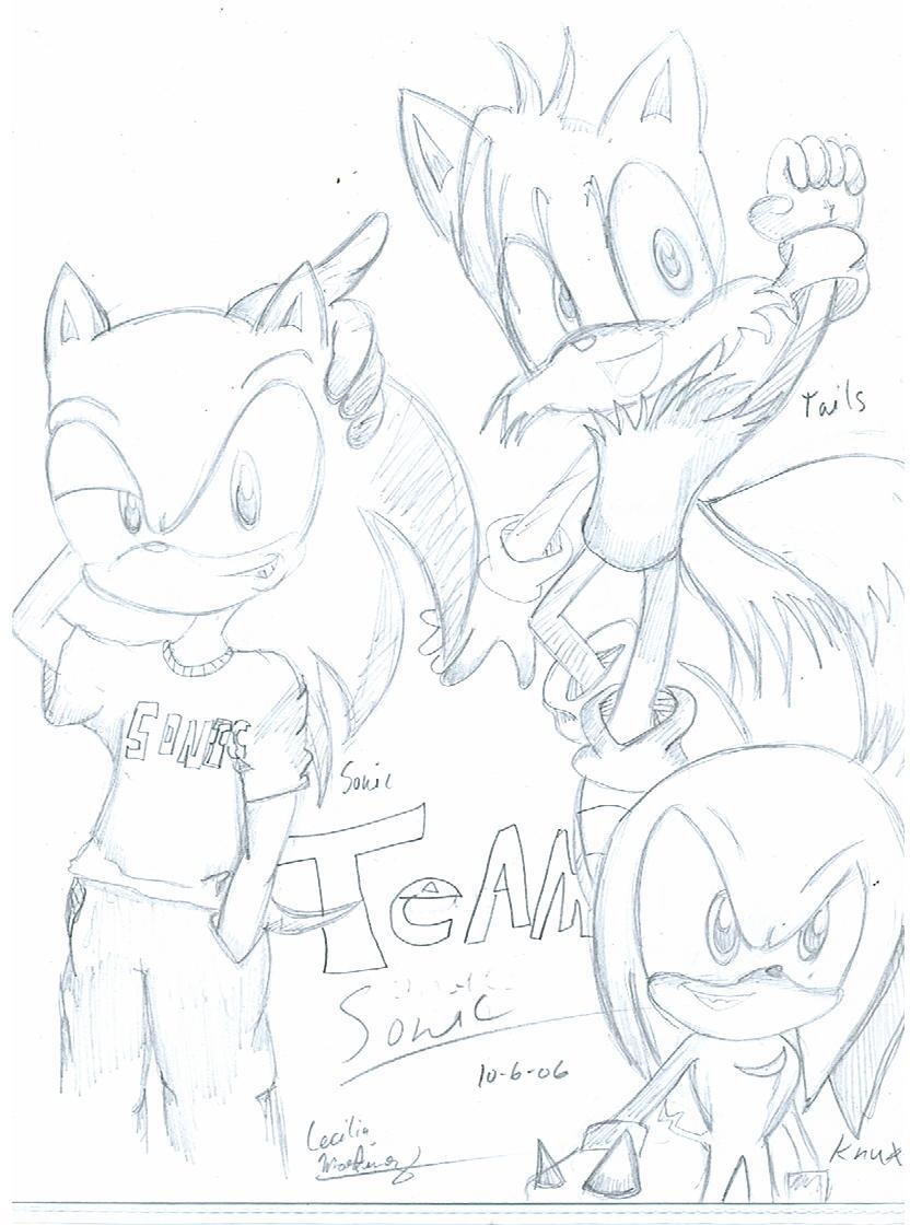 The Sonic TEAM! by Neopetgirl