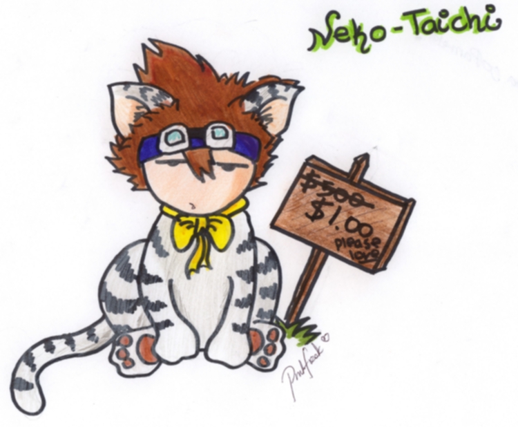 Neko-Taichi! Please love!(*request from kool_kat) by NicNic