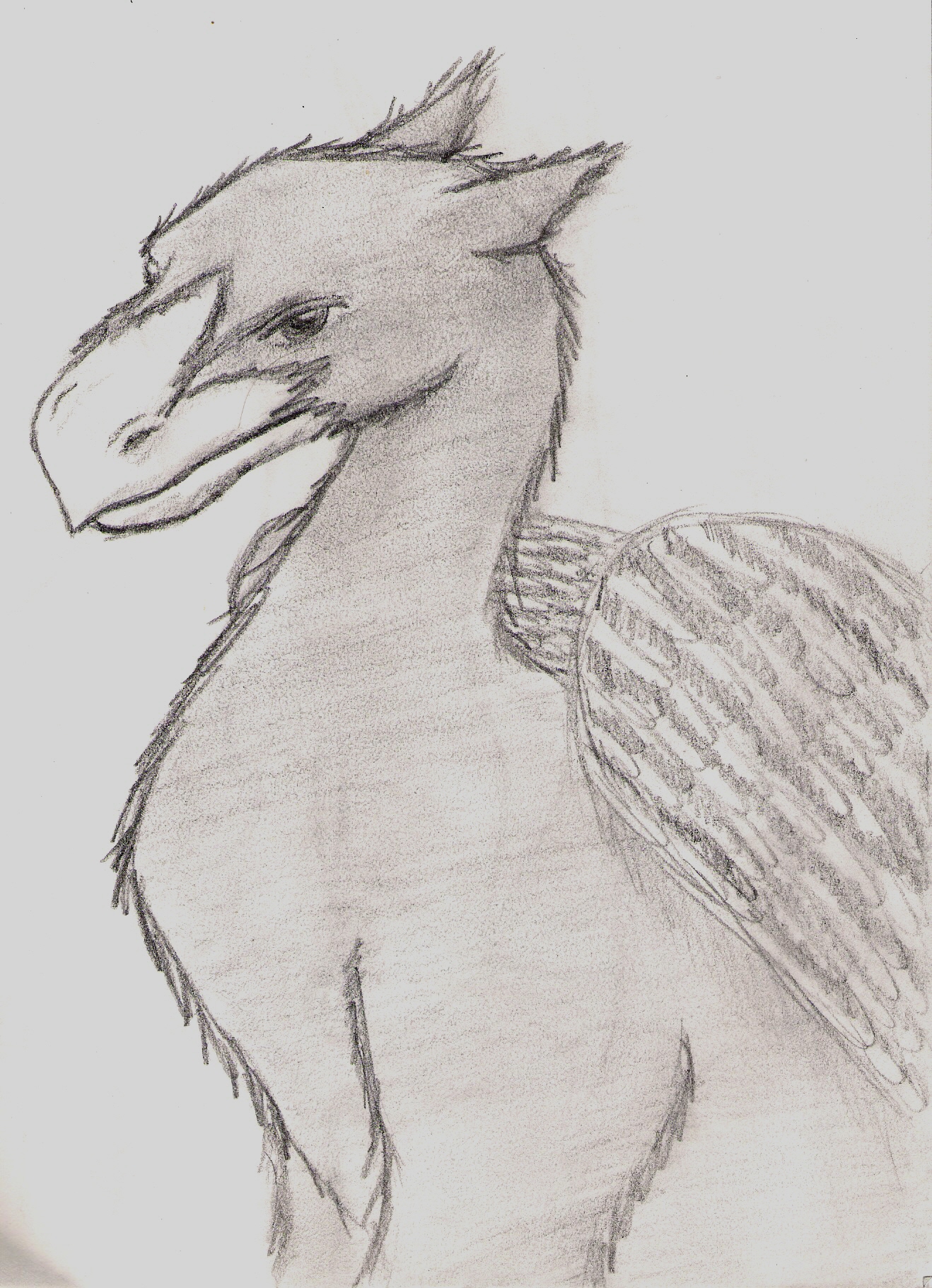A griffin by Nicki