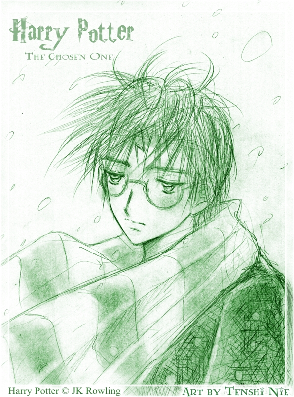 Harry Potter Green Snow by Nie