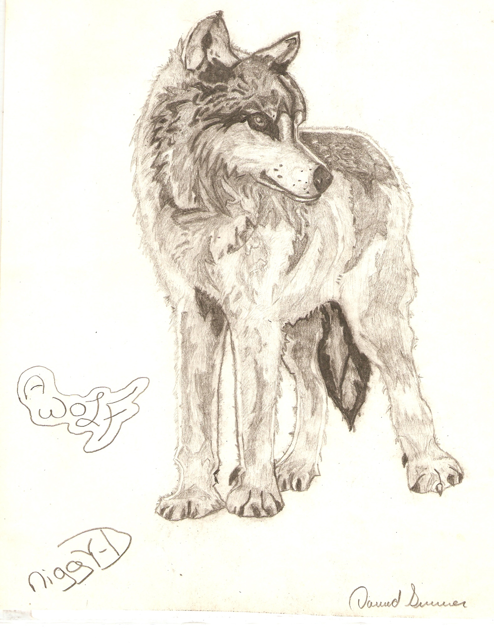 A Wolf by Niggyd31587