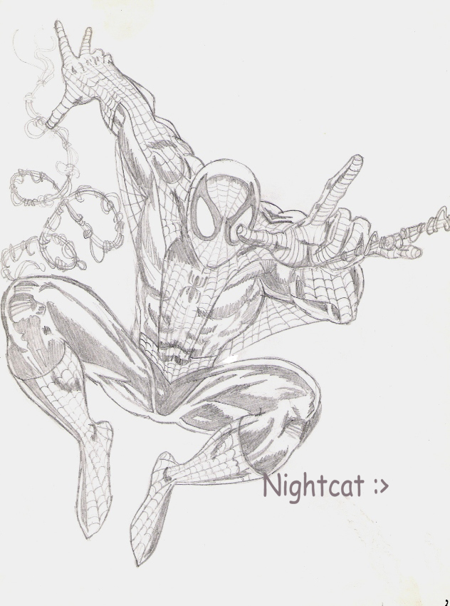 spiderman by Nightcathybrid