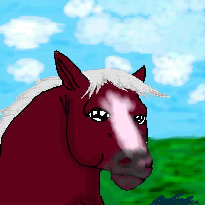 a horse i drew on the computer by Nightkat