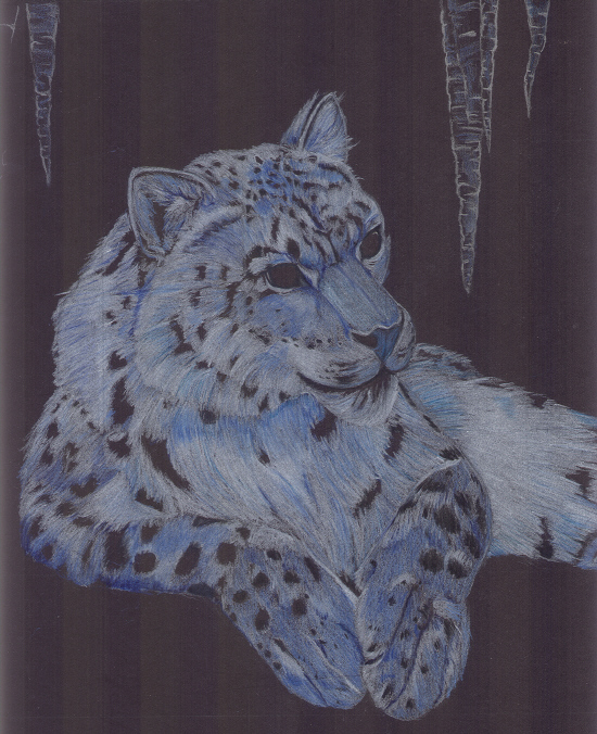 Snow Leopard by NightmareShinigami